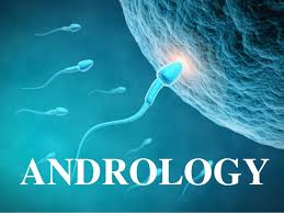 ANDROLOGY
